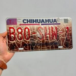 PLACAS