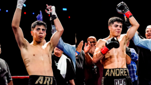 boxgemelos