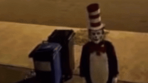 cat_in_the_hat