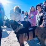 WhatsApp Image 2026-10-19 at 11.01.13 AM