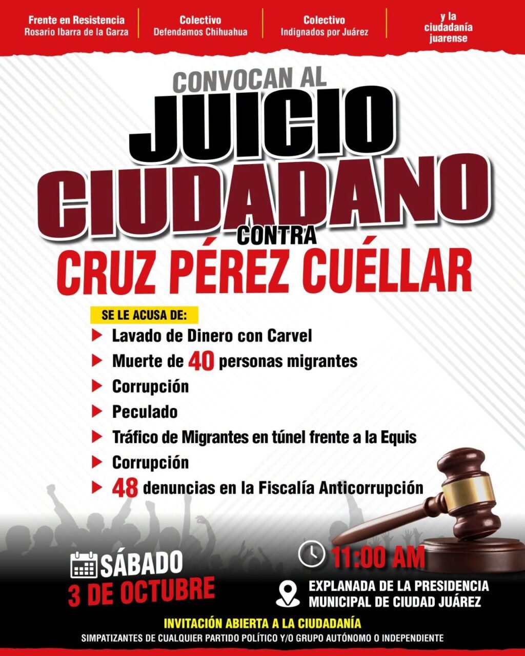 juicio ciudadano 2