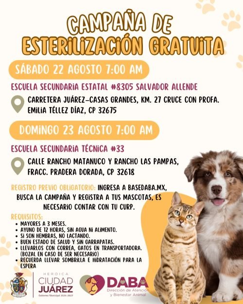 6a85cd61c403f__6a85cd61c4041
